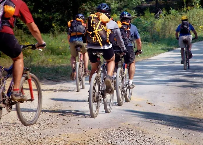 Oskar Zaplata Gæstehus 3*