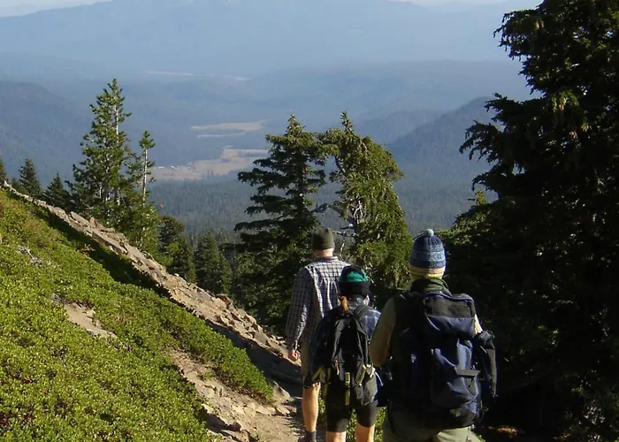 Oskar Zaplata 3* Preddvor